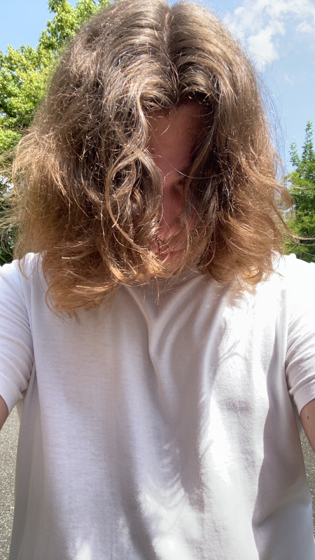 Profilo di Houdheyfa