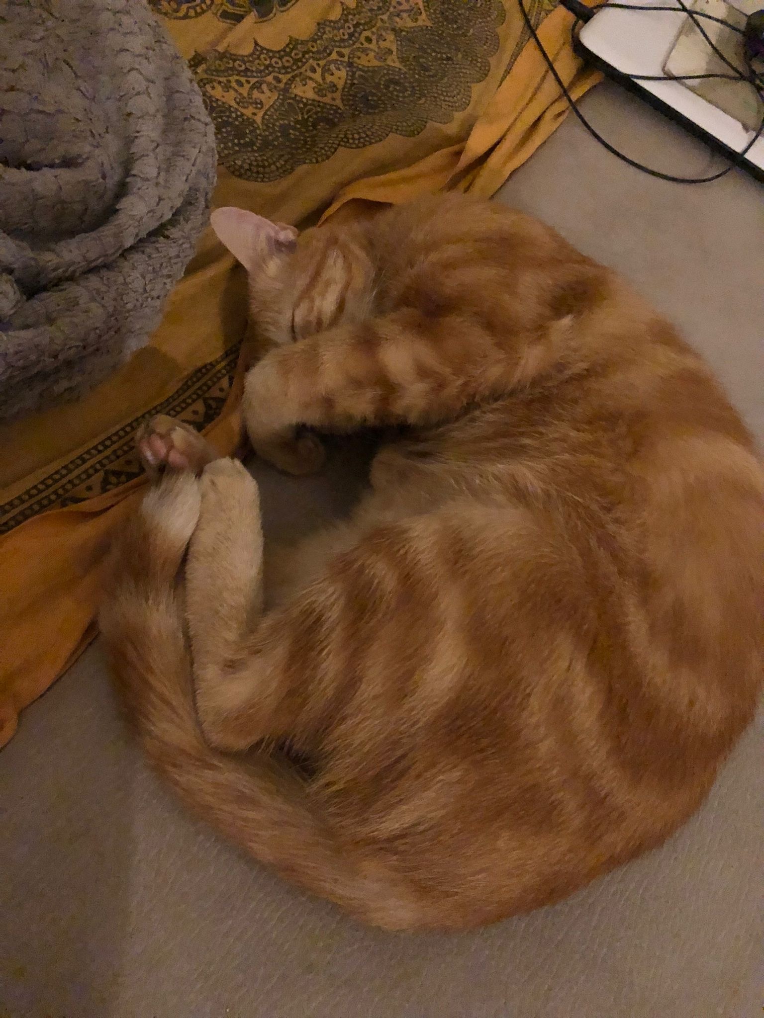 Profilo di Pierre-mathieu