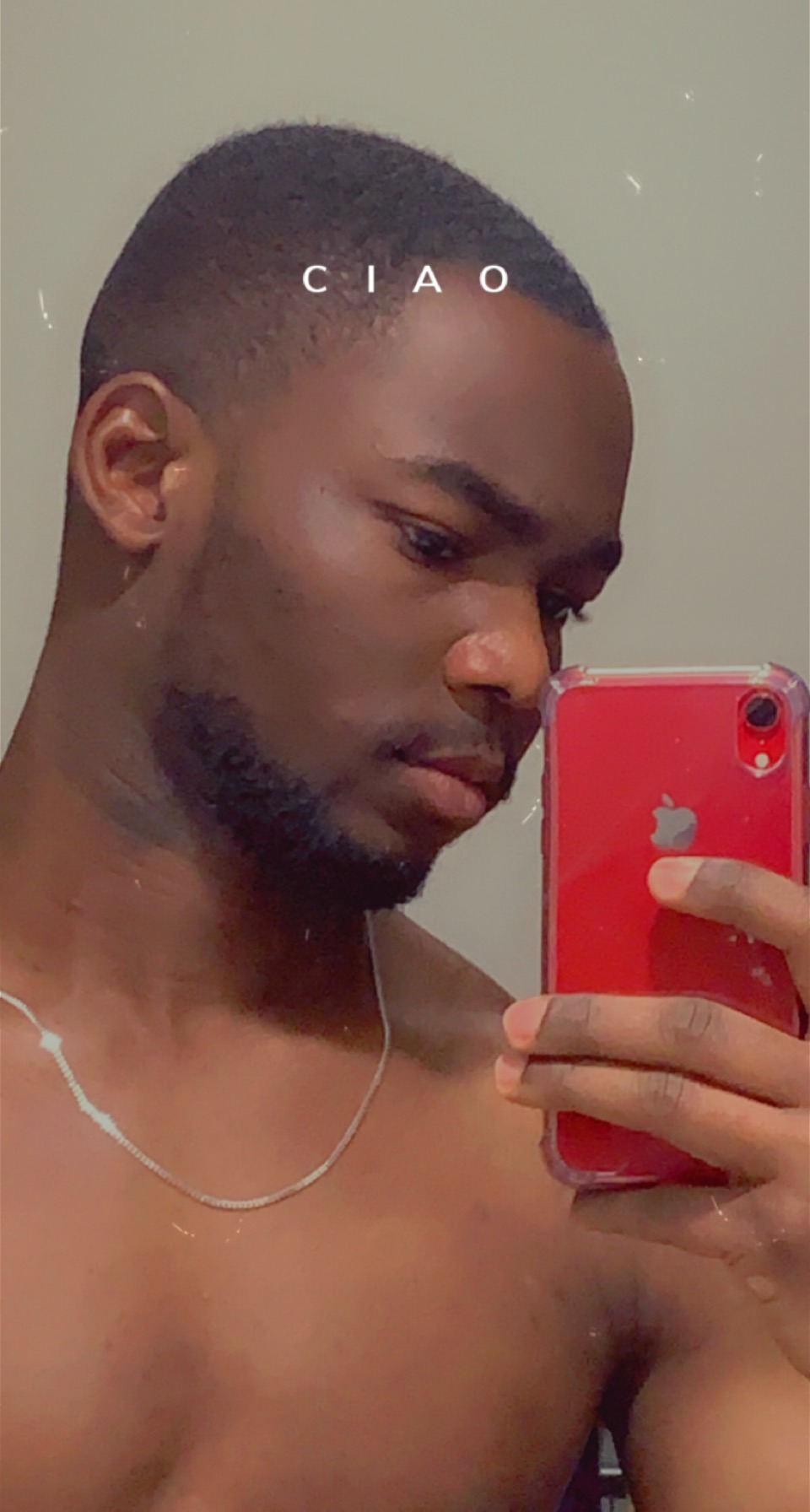 Profilo di Louis-guillaume