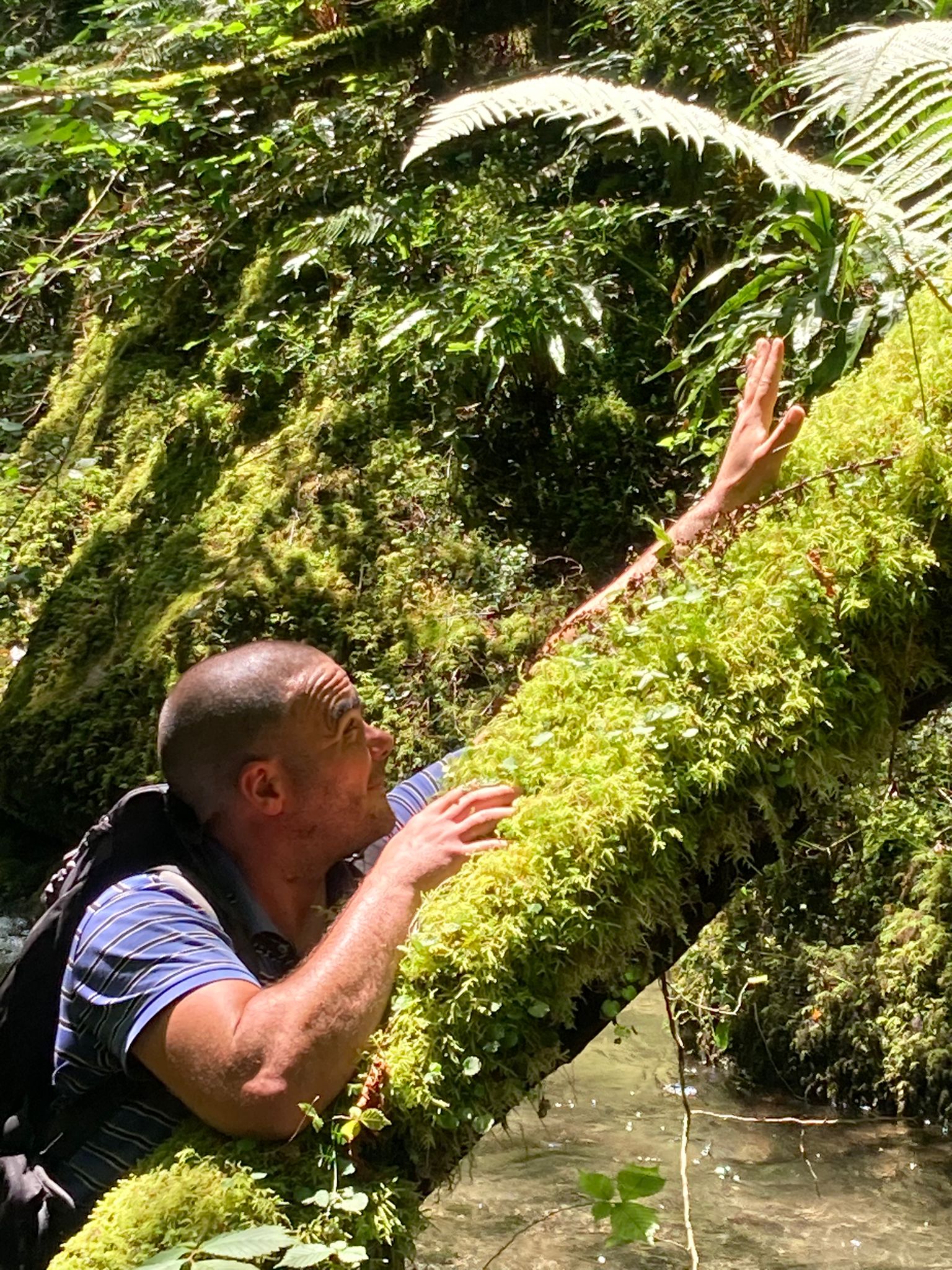 Profilo di Ahmed-yacine