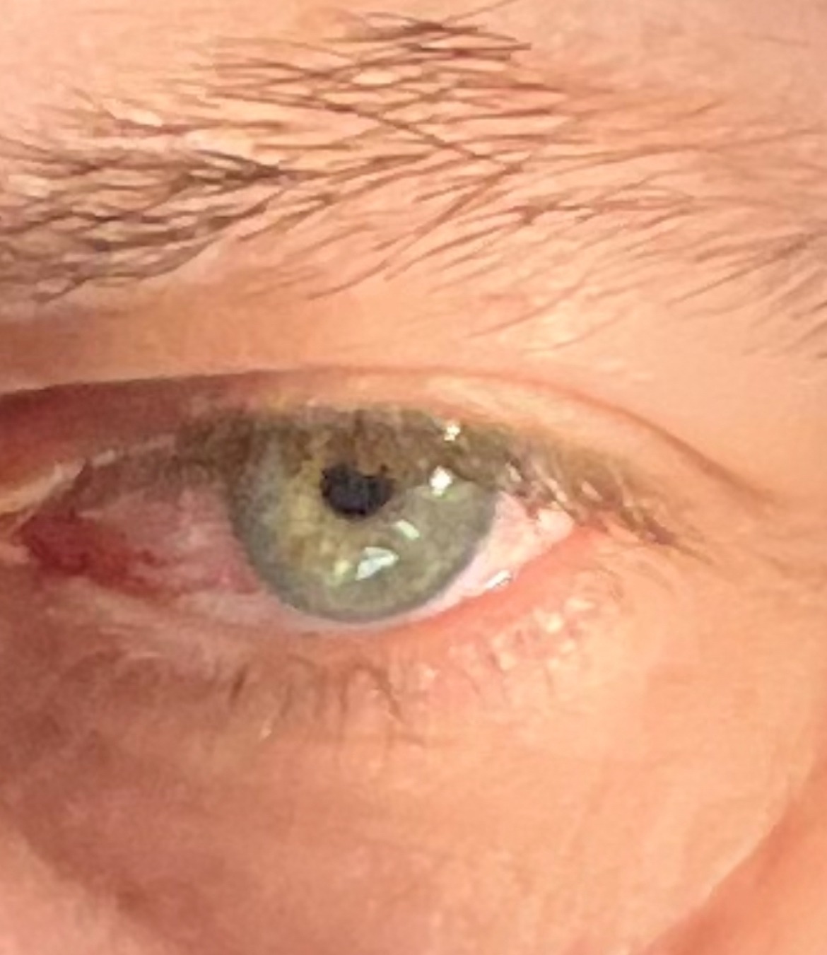 Profilo di Badreddine