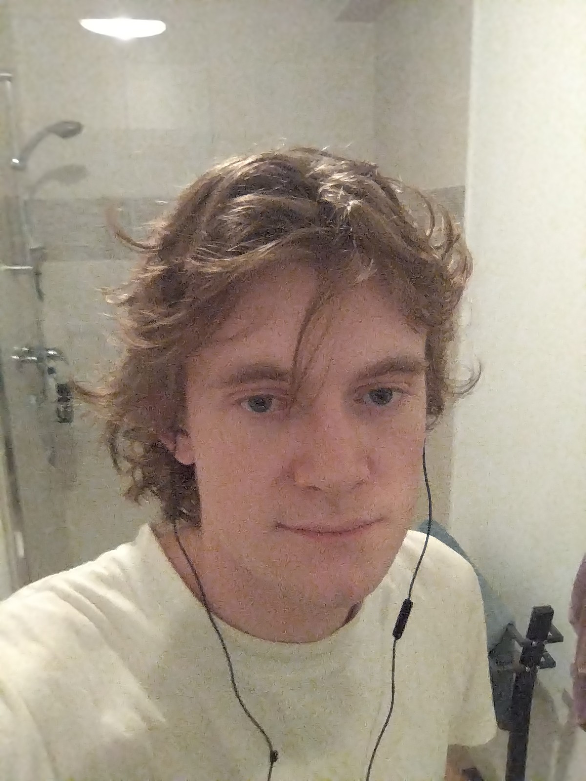 Profilo di Enguerand