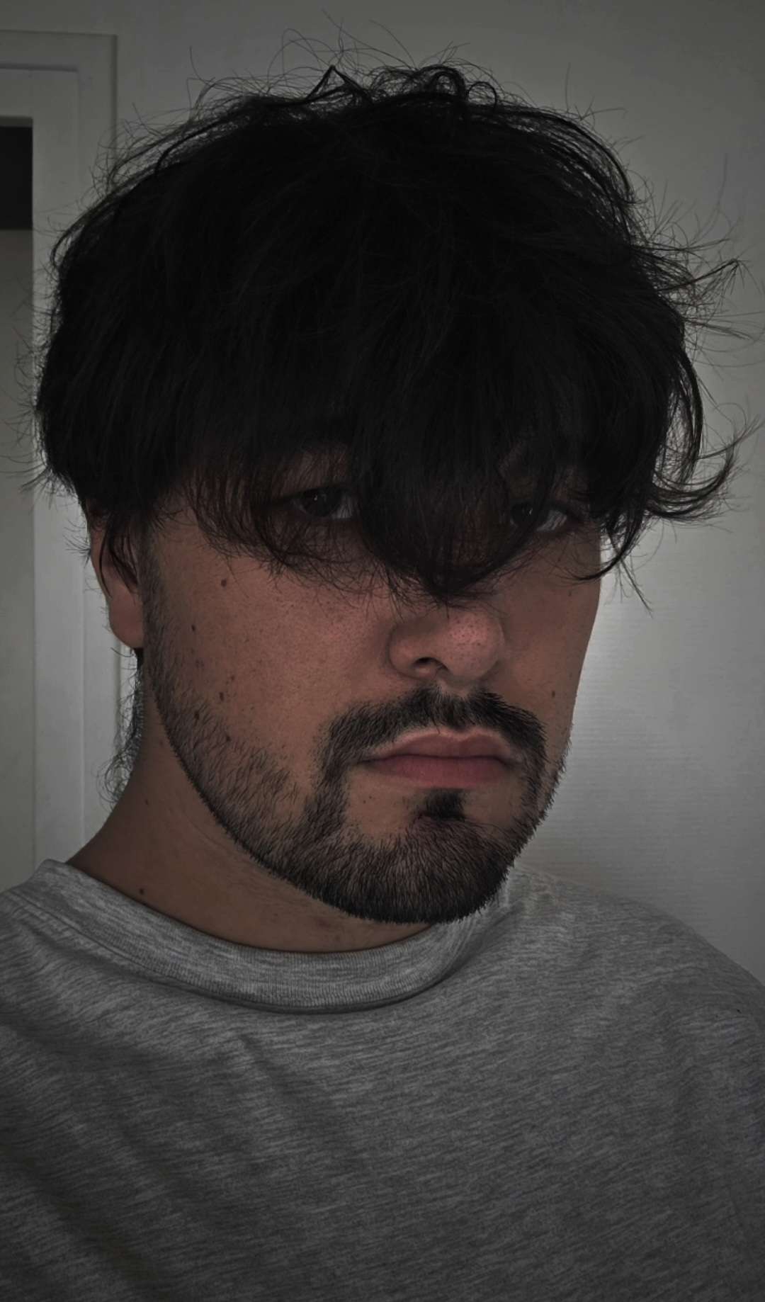 Profilo di Demetrius